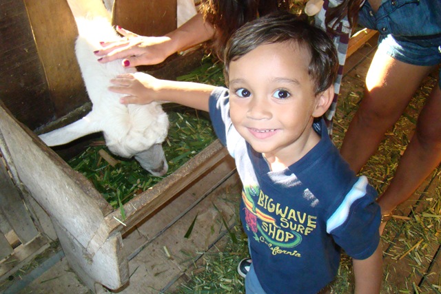 [DSC099553.jpg]