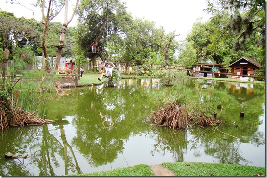 DSC01986