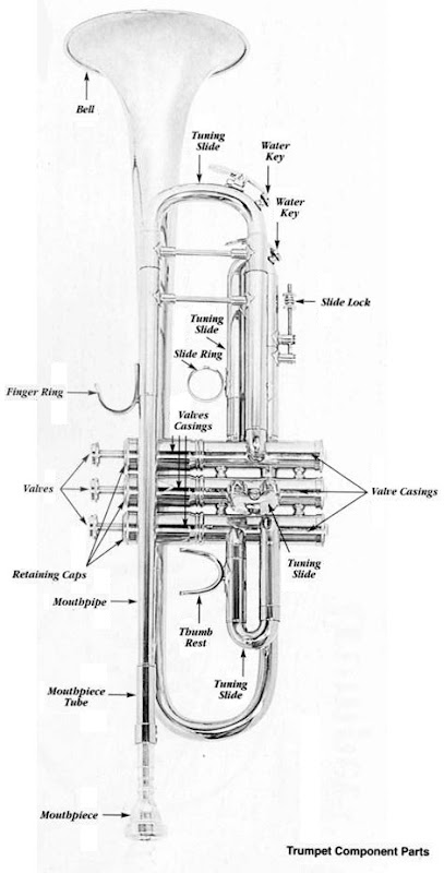 Trumpet Guide.jpg
