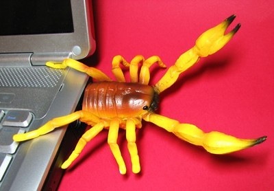 [Hemingway funs Scorpion USB Flash Drive 1[3].jpg]