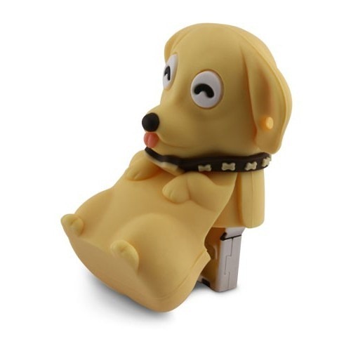 Dog memory stick