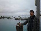 On the end of a wharf in Kaikoura.