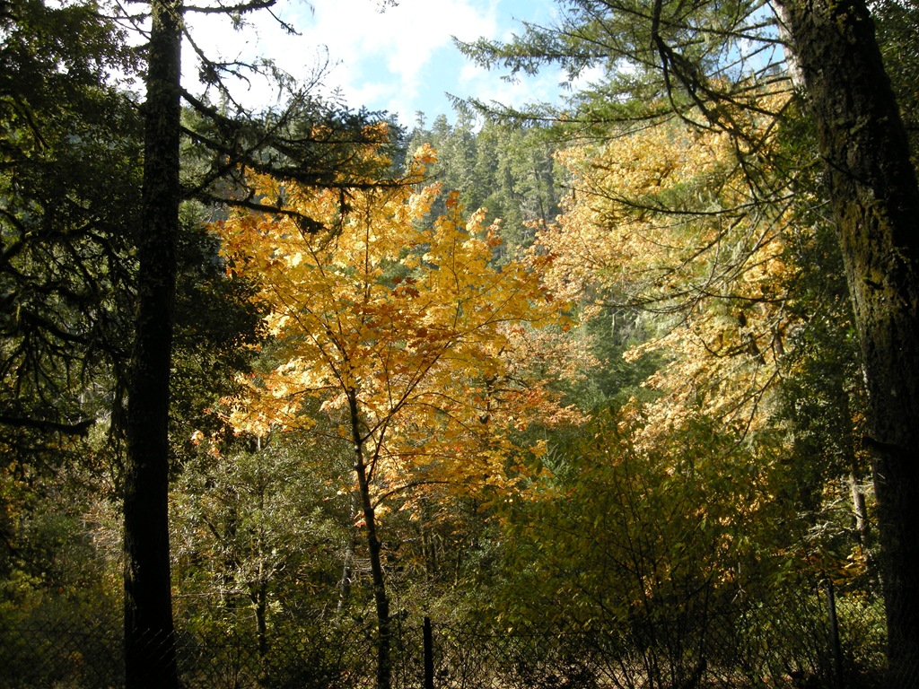 [HometoCrescentCity139.jpg]