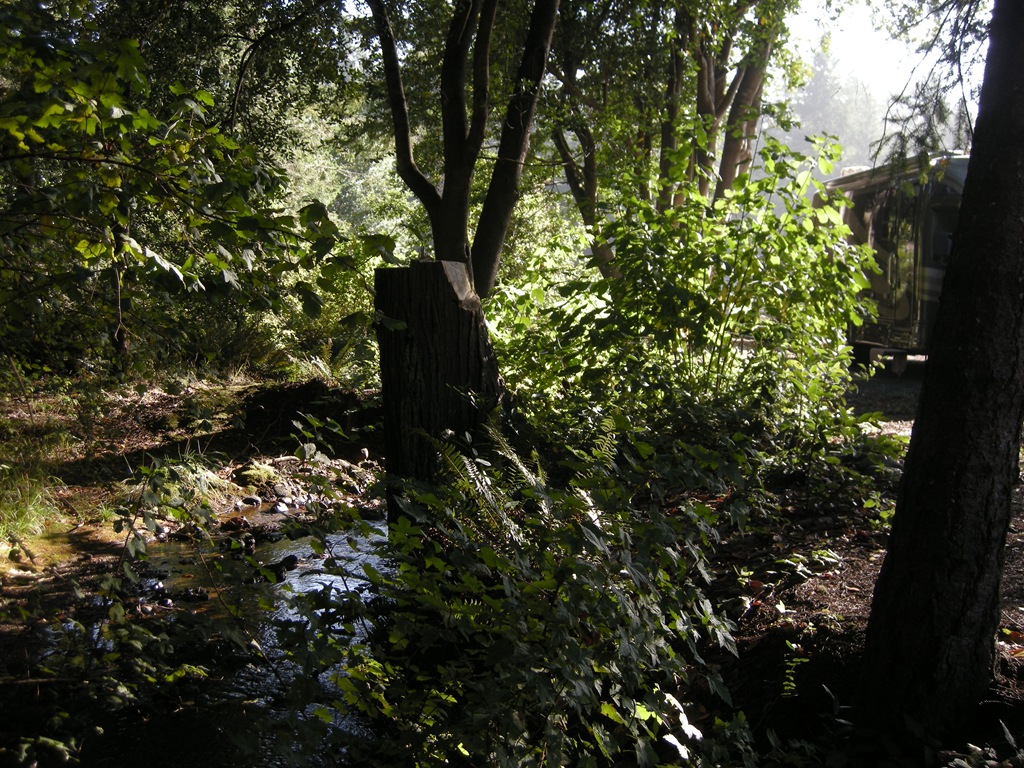 [HomeAtHiouchi136.jpg]