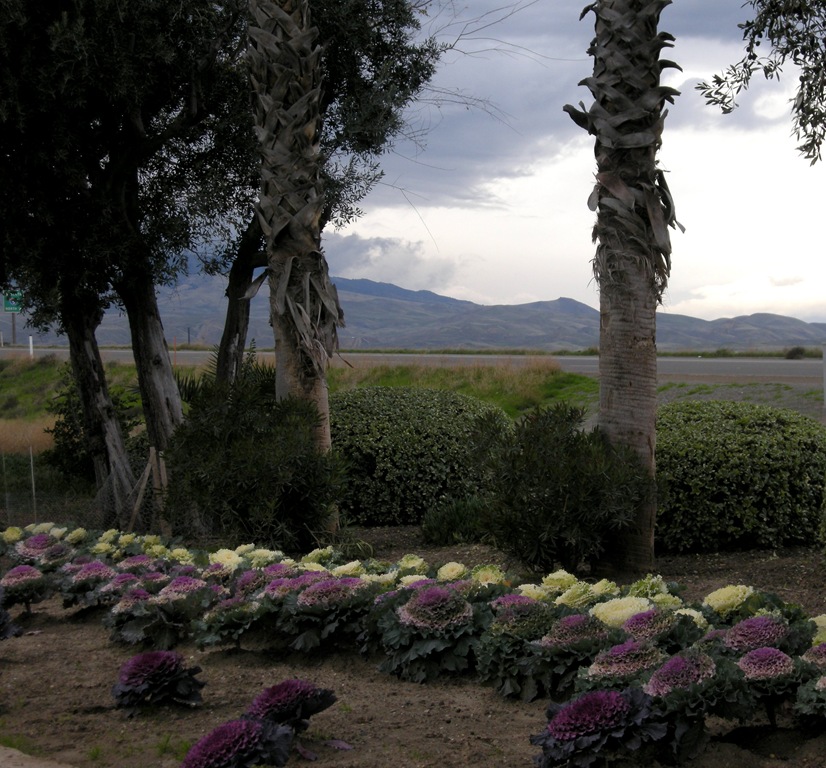 [Christmas Day 2010 (3)[3].jpg]