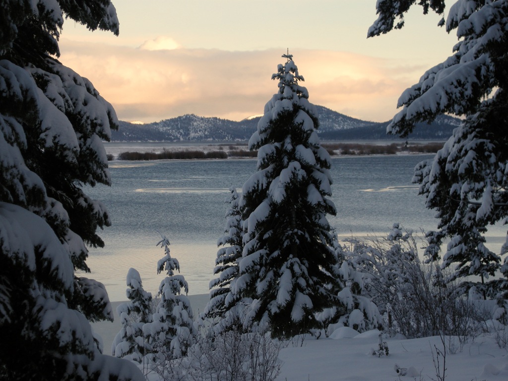 [Rocky Point snow day (17)[8].jpg]