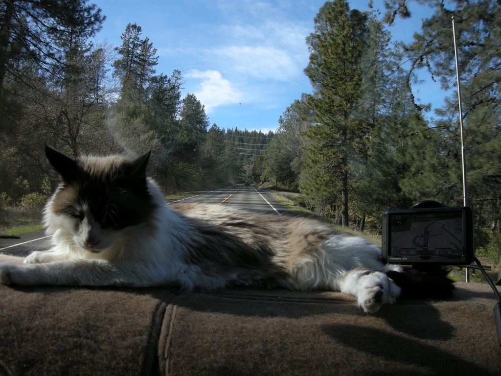 [Feb5toGrizzlyPark12.jpg]