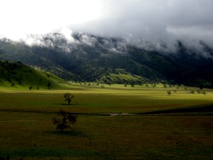 Bakersfield to Borrego (17)