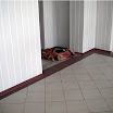 Gaesti.ro - Aveţi cuvântul - 23 februarie 2011 - Spital Găeşti - 01.jpg