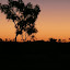AllTrails Bike Tours Gallery Thumbnail