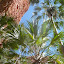 AllTrails Bike Tours Gallery Thumbnail