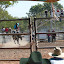AllTrails Bike Tours Gallery Thumbnail