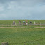 AllTrails Bike Tours Gallery Thumbnail