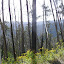 AllTrails Bike Tours Gallery Thumbnail