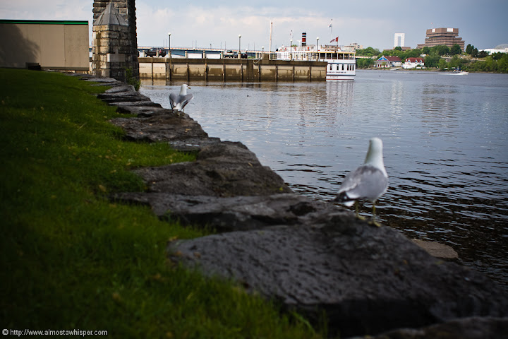 Ontario-photography_by_Ali-Salem-25