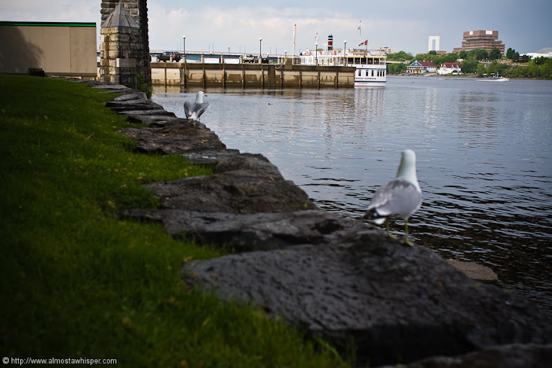 Ontario-photography_by_Ali-Salem-25