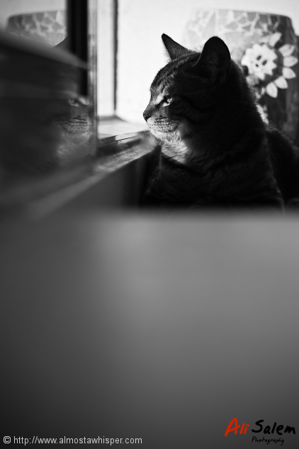 IMG_7778