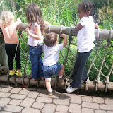 Fall 2008