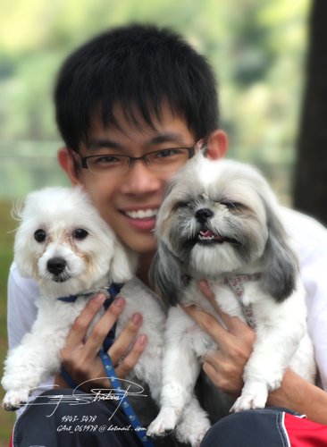 [SMILE DOG.JPG]