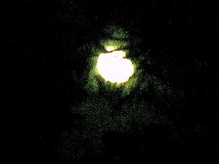 [September Moonlight through trees (1)[21].jpg]