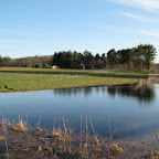 Inground swimming pool?