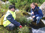 Workcamp WF105