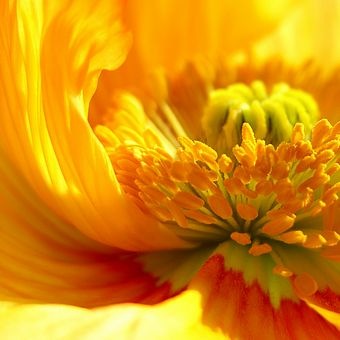[sonne[3].jpg]