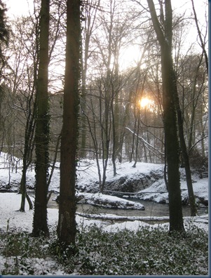 schnee 2010 043