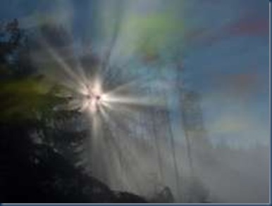 sagen-schwarzwald1