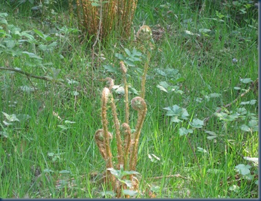 ostern 2011 012