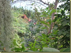 inside Eden