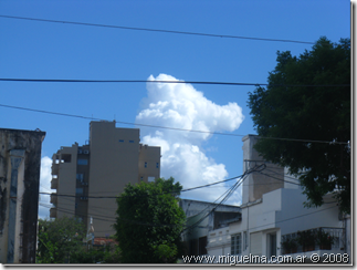 nube con forma de caniche toy o elefantito