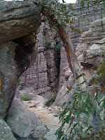 IMG_0075.jpg