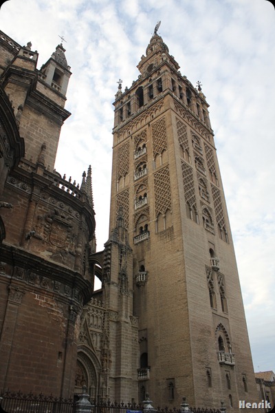 IMG_3426 IMG_3426