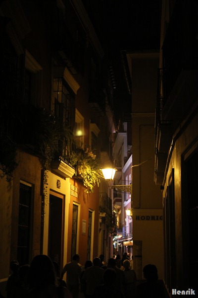 IMG_3494 IMG_3494