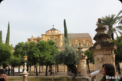 IMG_3573 IMG_3573