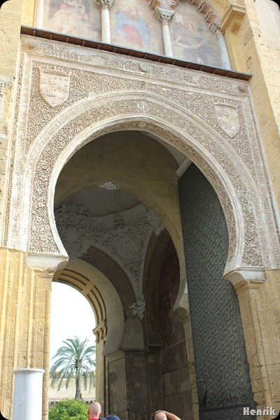 IMG_3579 IMG_3579
