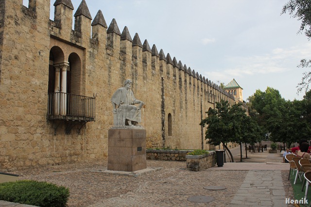 [IMG_36452.jpg]