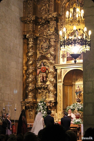 IMG_3959 IMG_3959