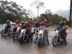 Harley Davidson Transfers.jpg