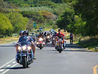 Harley Davidson Transfers.jpg