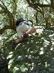 Kalk Bay Explorer.jpg