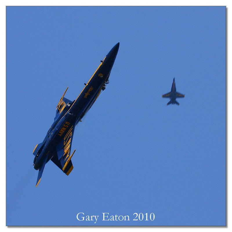 IMAGE: http://lh6.ggpht.com/_rSR7KcWAKvs/S83FU_qFuPI/AAAAAAAAE-A/HfqRACbn0Ls/s800/IMG_0267.jpg