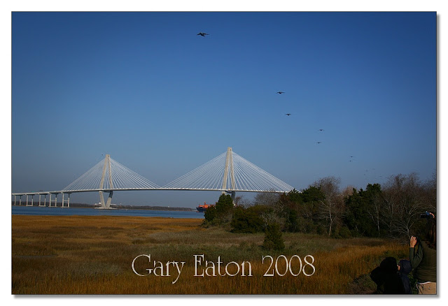 IMAGE: http://lh6.ggpht.com/_rSR7KcWAKvs/SUm0zv2ONFI/AAAAAAAADmw/kjOo1jBnKSw/s640/IMG_50647_2.jpg