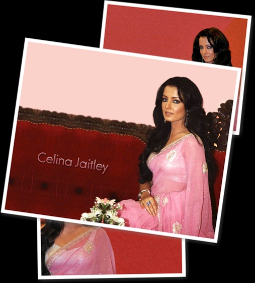 View Celina jaitley saree pics