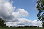 IMG_7818.jpg
