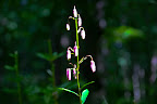 IMG_7852.jpg