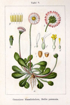 Tausendsch�n