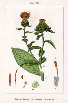 False saffron