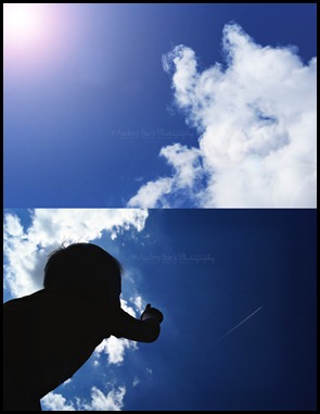 doublesky doublesky